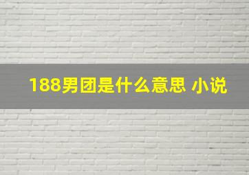 188男团是什么意思 小说